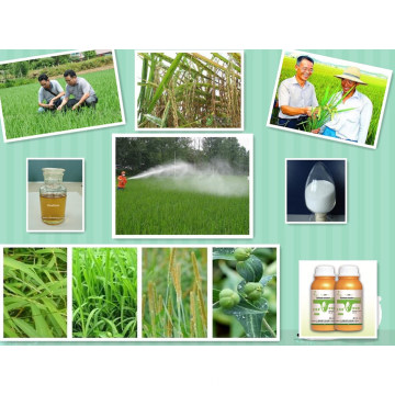 Agrochemicals Technical Weedcide Herbicide Gramoxone